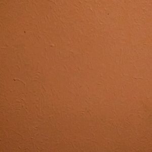 Meet your Posher, Charisma